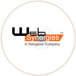 Web Synergies